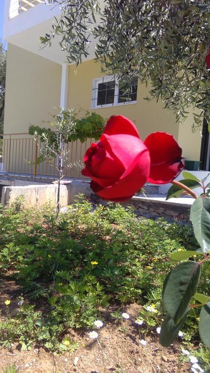 Guest House Solive Himarë Exterior foto